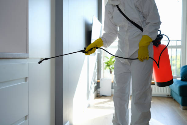 Best White Mold Remediation in Trenton, MO