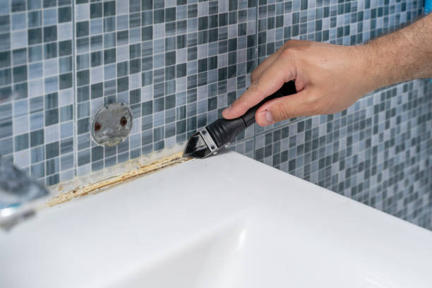 Best Kitchen Mold Remediation in Trenton, MO