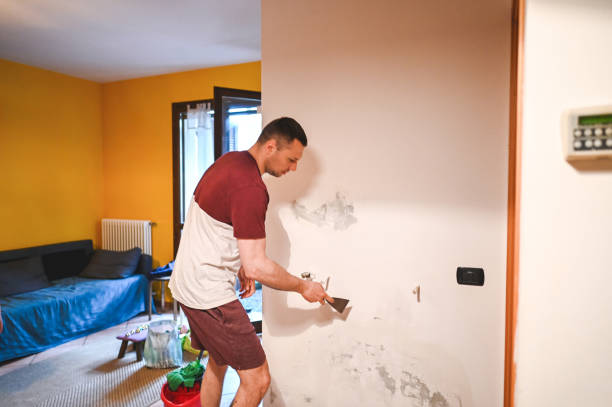 Best Emergency Mold Remediation in Trenton, MO