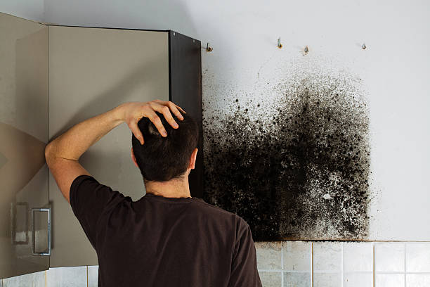 Trenton, MO Mold Remediation Company